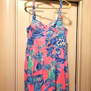 Lilly pulitzer dress